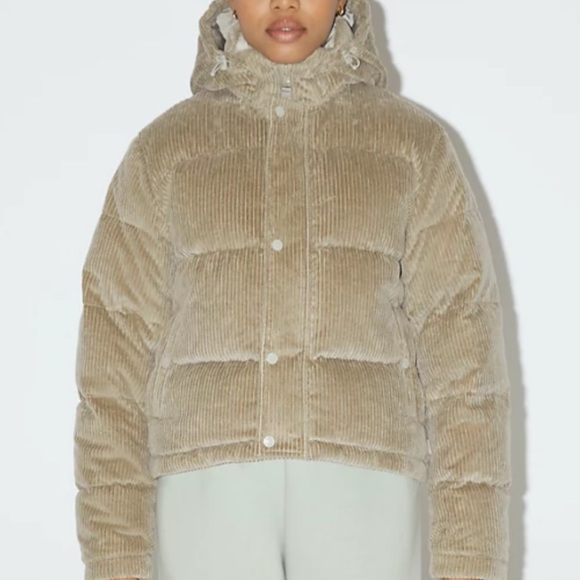 Aritzia Jackets & Coats Aritzia Tna Super Puff Shorty In The Color